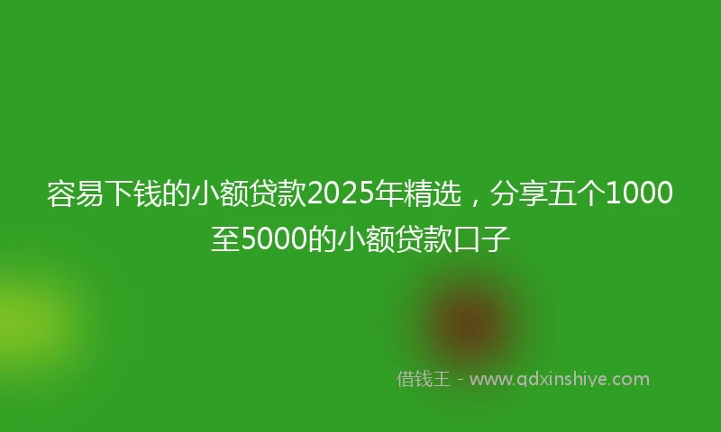 容易下钱的小额贷款2025年精选，分享五个1000至5000的小额贷款口子