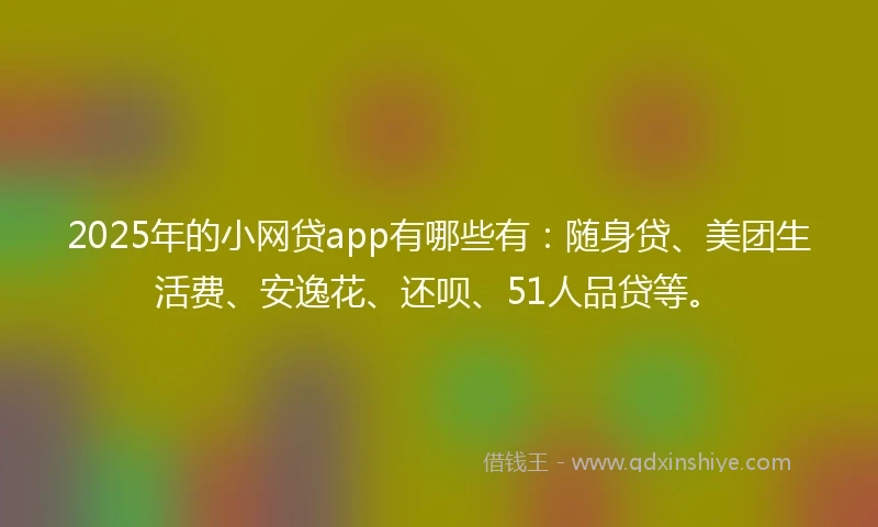 2025年的小网贷app有哪些有：随身贷、美团生活费、安逸花、还呗、51人品贷等。