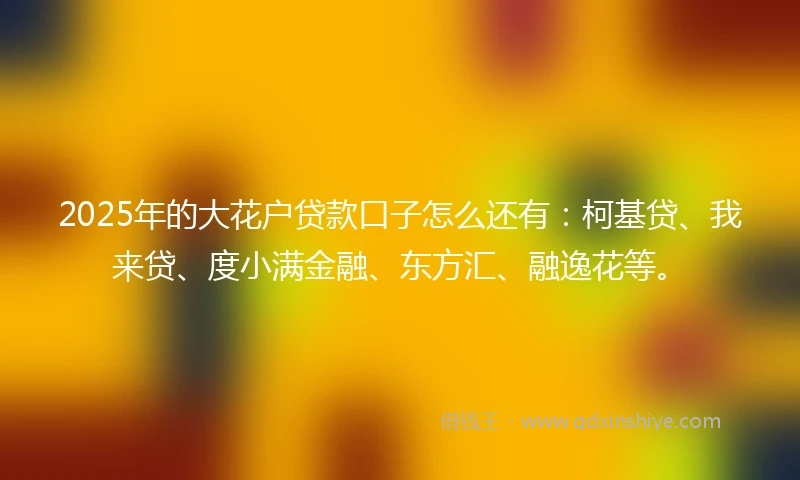 2025年的大花户贷款口子怎么还有:柯基贷、我来贷、度小满金融、东方汇、融逸花等。