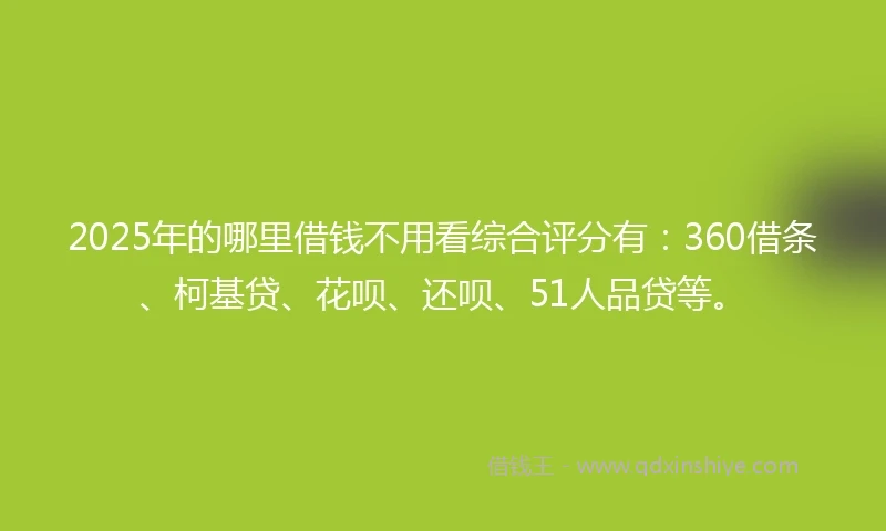 2025年的哪里借钱不用看综合评分有：360借条、柯基贷、花呗、还呗、51人品贷等。