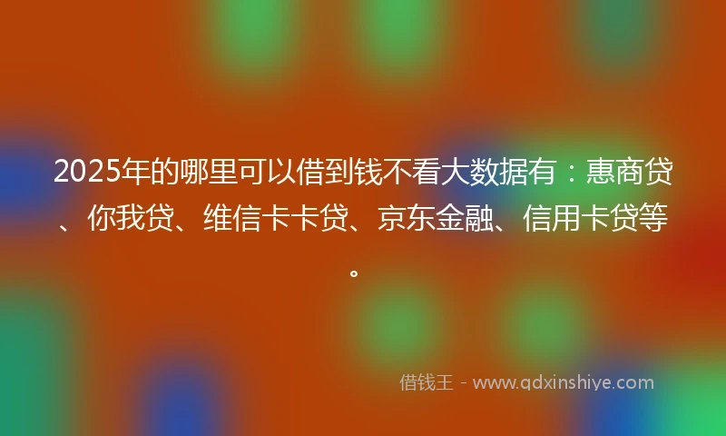2025年的哪里可以借到钱不看大数据有：惠商贷、你我贷、维信卡卡贷、京东金融、信用卡贷等。