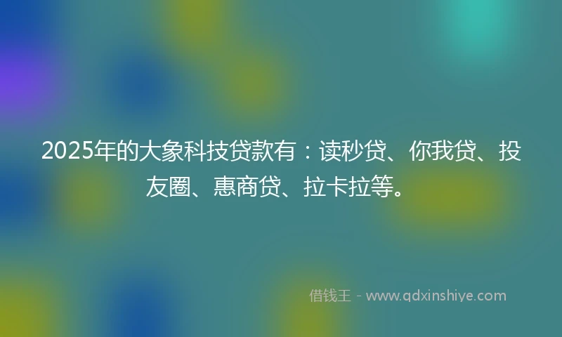 2025年的大象科技贷款有：读秒贷、你我贷、投友圈、惠商贷、拉卡拉等。