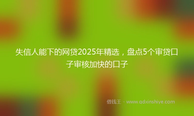 失信人能下的网贷2025年精选，盘点5个审贷口子审核加快的口子