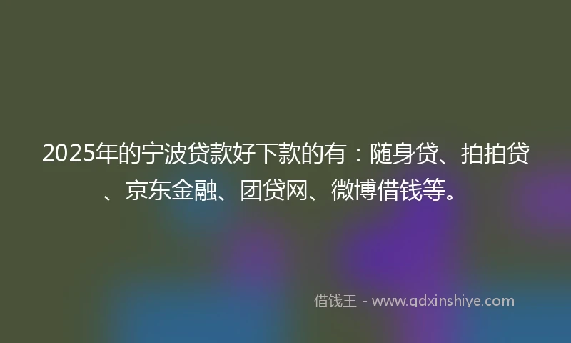 2025年的宁波贷款好下款的有：随身贷、拍拍贷、京东金融、团贷网、微博借钱等。
