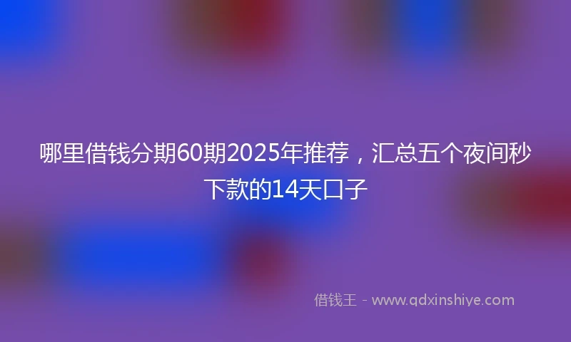 哪里借钱分期60期2025年推荐，汇总五个夜间秒下款的14天口子