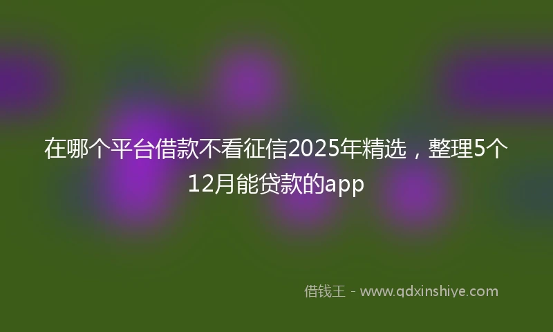在哪个平台借款不看征信2025年精选，整理5个12月能贷款的app