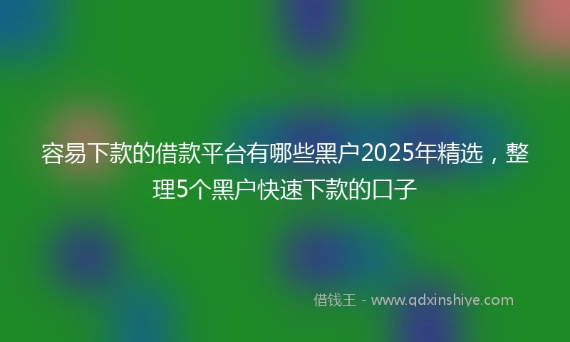 容易下款的借款平台有哪些黑户2025年精选，整理5个黑户快速下款的口子
