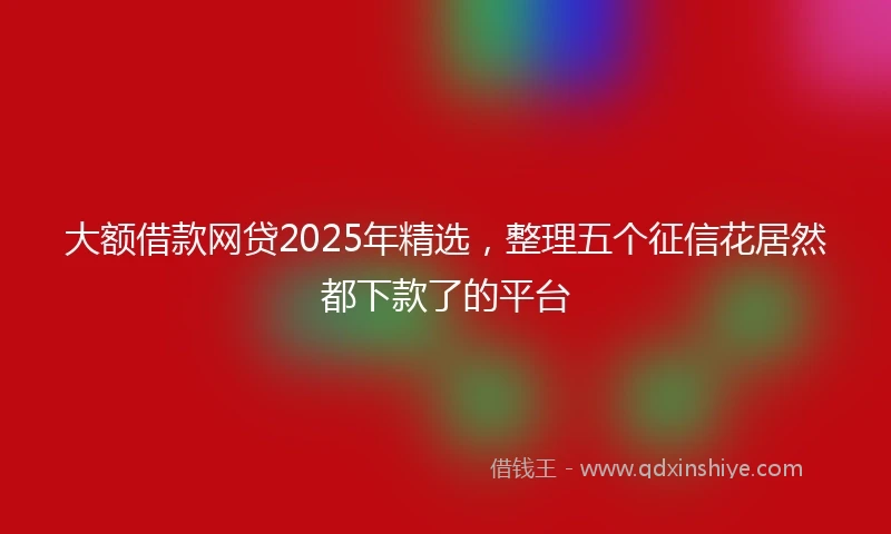 大额借款网贷2025年精选，整理五个征信花居然都下款了的平台