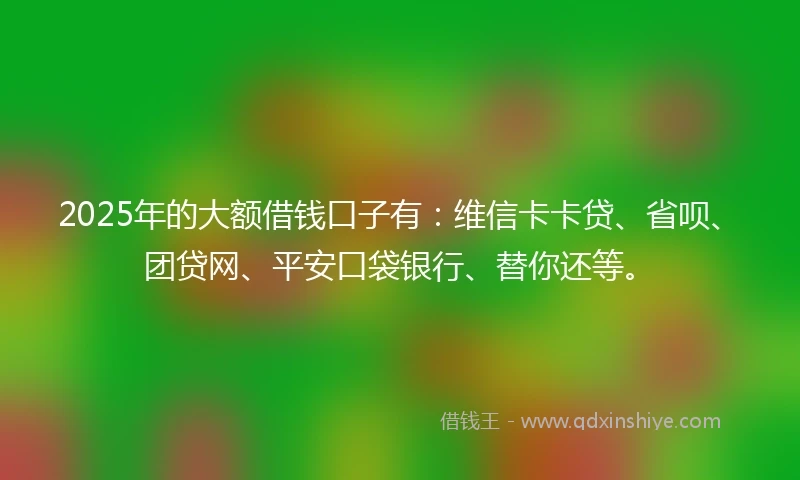 2025年的大额借钱口子有：维信卡卡贷、省呗、团贷网、平安口袋银行、替你还等。
