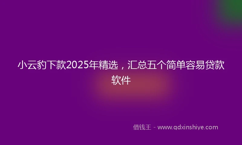 小云豹下款2025年精选，汇总五个简单容易贷款软件