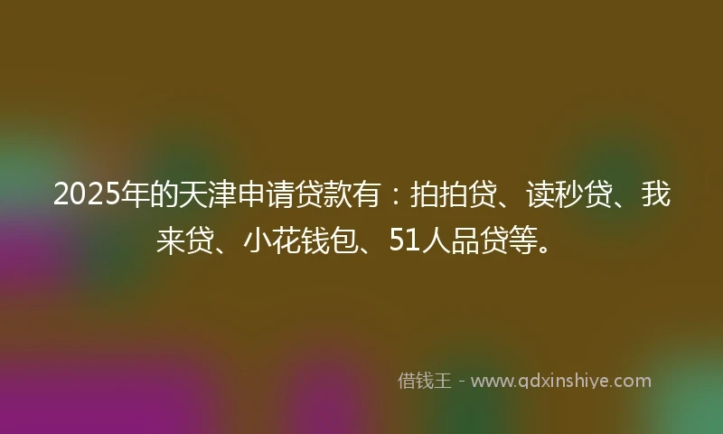 2025年的天津申请贷款有：拍拍贷、读秒贷、我来贷、小花钱包、51人品贷等。