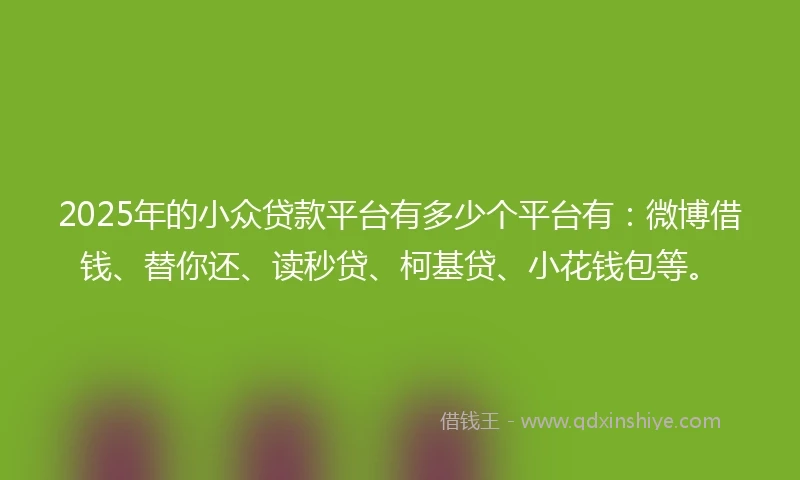 2025年的小众贷款平台有多少个平台有：微博借钱、替你还、读秒贷、柯基贷、小花钱包等。