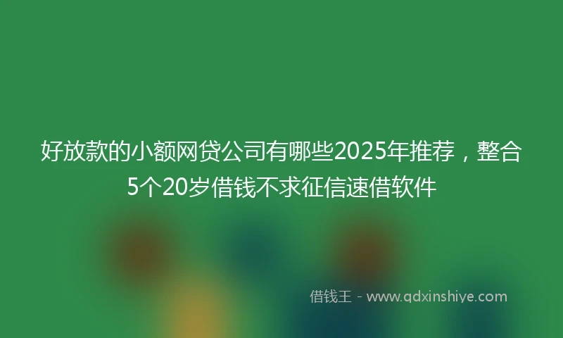 好放款的小额网贷公司有哪些2025年推荐，整合5个20岁借钱不求征信速借软件