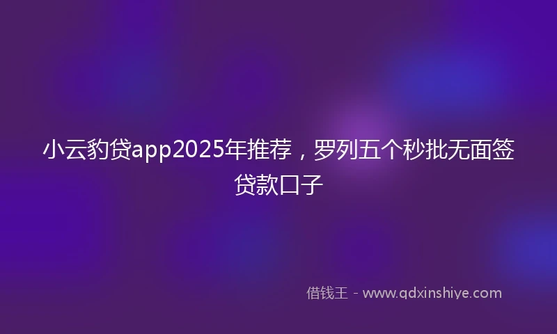 小云豹贷app2025年推荐，罗列五个秒批无面签贷款口子