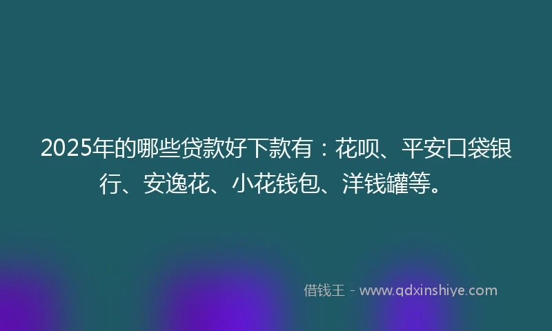 2025年的哪些贷款好下款有：花呗、平安口袋银行、安逸花、小花钱包、洋钱罐等。