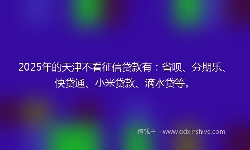 2025年的天津不看征信贷款有：省呗、分期乐、快贷通、小米贷款、滴水贷等。
