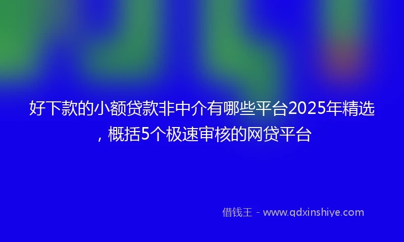好下款的小额贷款非中介有哪些平台2025年精选,概括5个极速审核的网贷平台