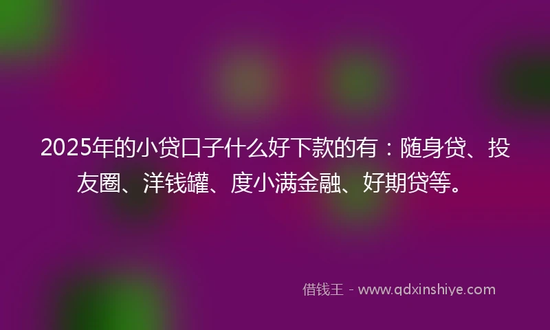 2025年的小贷口子什么好下款的有：随身贷、投友圈、洋钱罐、度小满金融、好期贷等。