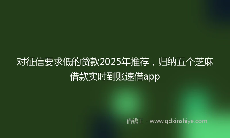对征信要求低的贷款2025年推荐，归纳五个芝麻借款实时到账速借app