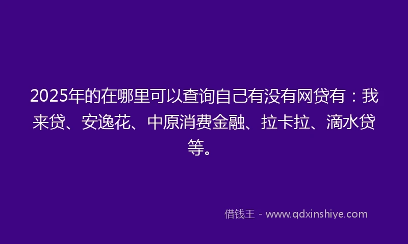 2025年的在哪里可以查询自己有没有网贷有：我来贷、安逸花、中原消费金融、拉卡拉、滴水贷等。