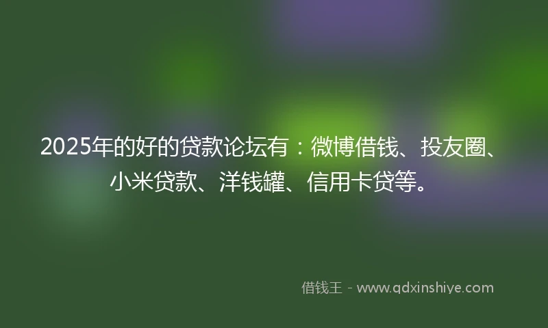 2025年的好的贷款论坛有：微博借钱、投友圈、小米贷款、洋钱罐、信用卡贷等。