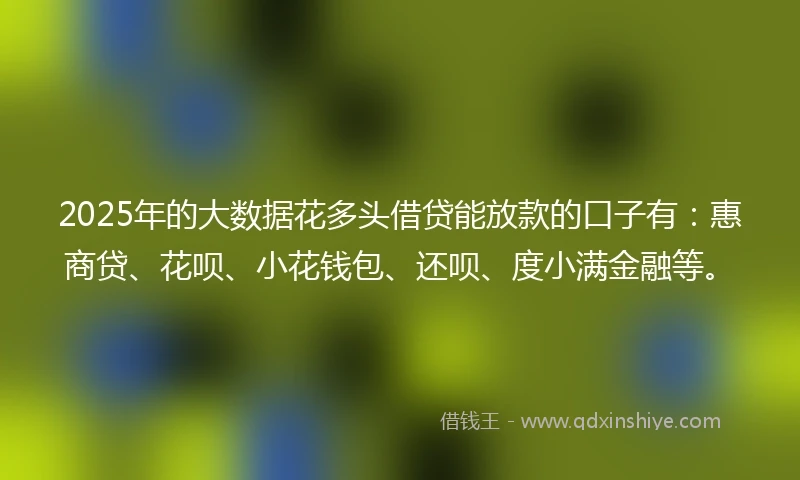 2025年的大数据花多头借贷能放款的口子有：惠商贷、花呗、小花钱包、还呗、度小满金融等。