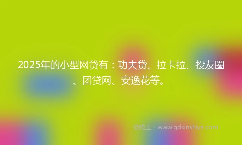 2025年的小型网贷有：功夫贷、拉卡拉、投友圈、团贷网、安逸花等。