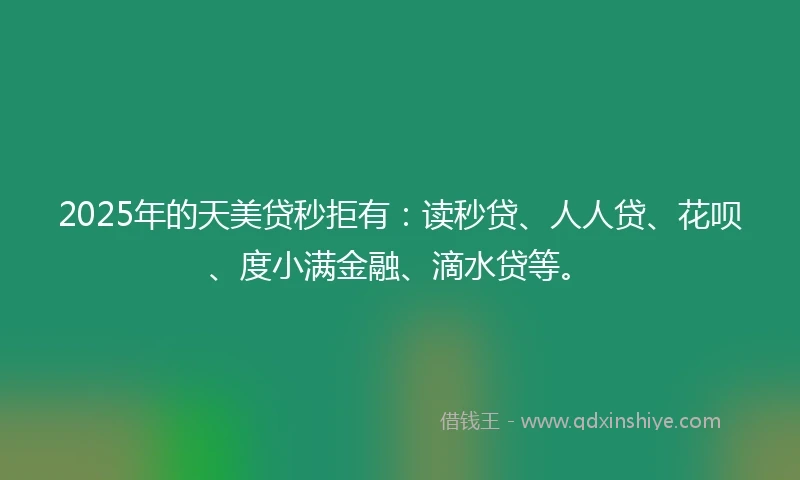2025年的天美贷秒拒有:读秒贷、人人贷、花呗、度小满金融、滴水贷等。
