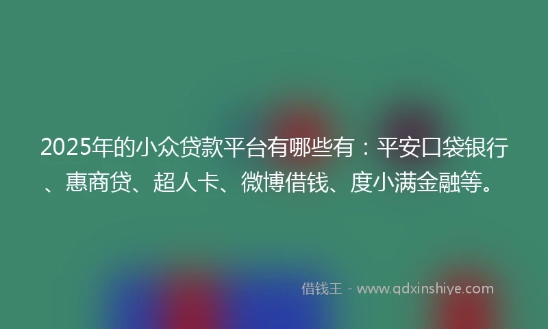 2025年的小众贷款平台有哪些有：平安口袋银行、惠商贷、超人卡、微博借钱、度小满金融等。