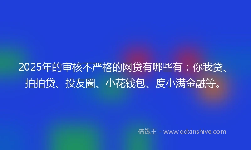 2025年的审核不严格的网贷有哪些有：你我贷、拍拍贷、投友圈、小花钱包、度小满金融等。