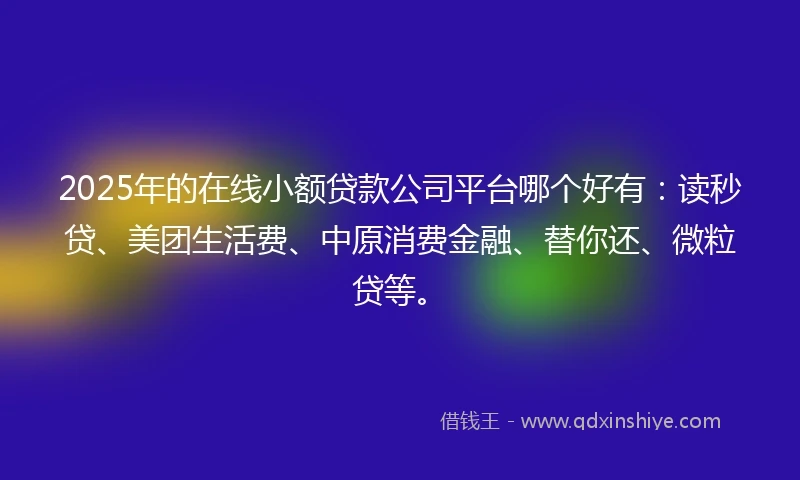 2025年的在线小额贷款公司平台哪个好有：读秒贷、美团生活费、中原消费金融、替你还、微粒贷等。
