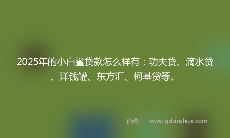 2025年的小白鲨贷款怎么样有：功夫贷、滴水贷、洋钱罐、东方汇、柯基贷等。