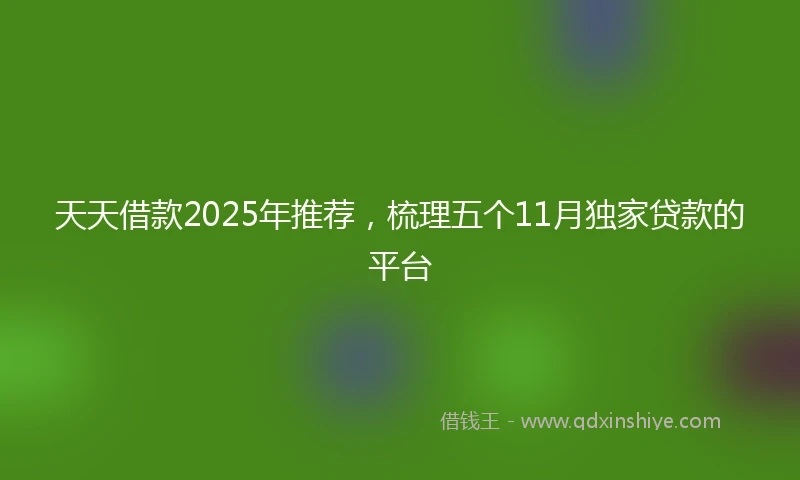 天天借款2025年推荐，梳理五个11月独家贷款的平台