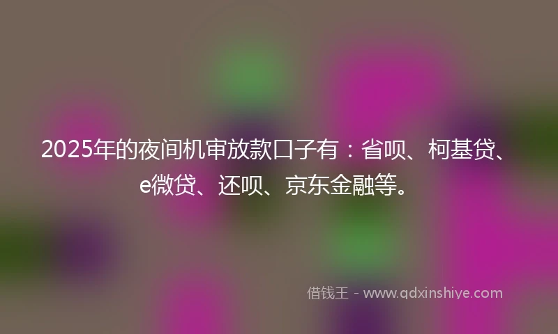 2025年的夜间机审放款口子有：省呗、柯基贷、e微贷、还呗、京东金融等。