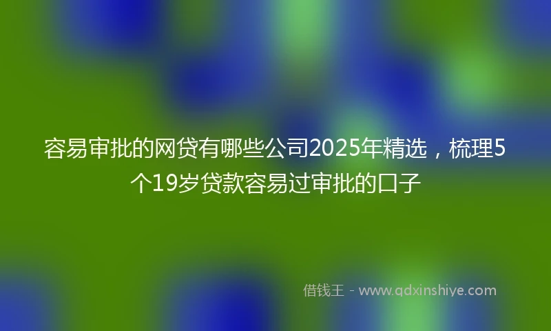 容易审批的网贷有哪些公司2025年精选,梳理5个19岁贷款容易过审批的口子