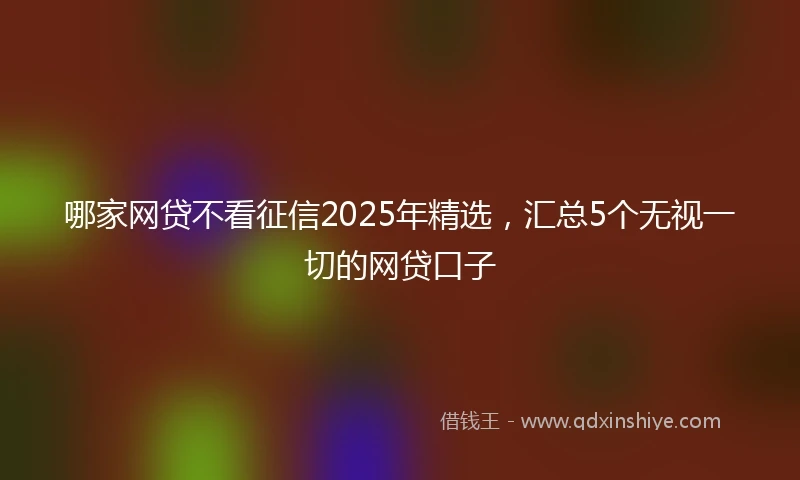 哪家网贷不看征信2025年精选，汇总5个无视一切的网贷口子