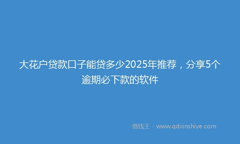 大花户贷款口子能贷多少2025年推荐,分享5个逾期必下款的软件