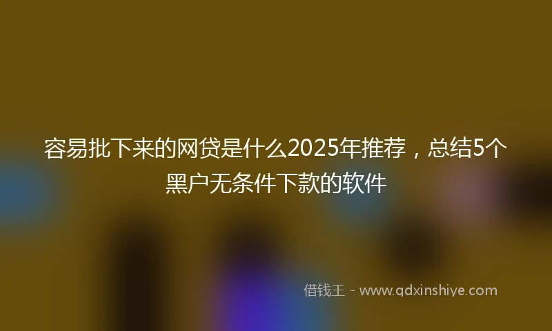 容易批下来的网贷是什么2025年推荐,总结5个黑户无条件下款的软件