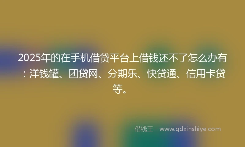 2025年的在手机借贷平台上借钱还不了怎么办有：洋钱罐、团贷网、分期乐、快贷通、信用卡贷等。