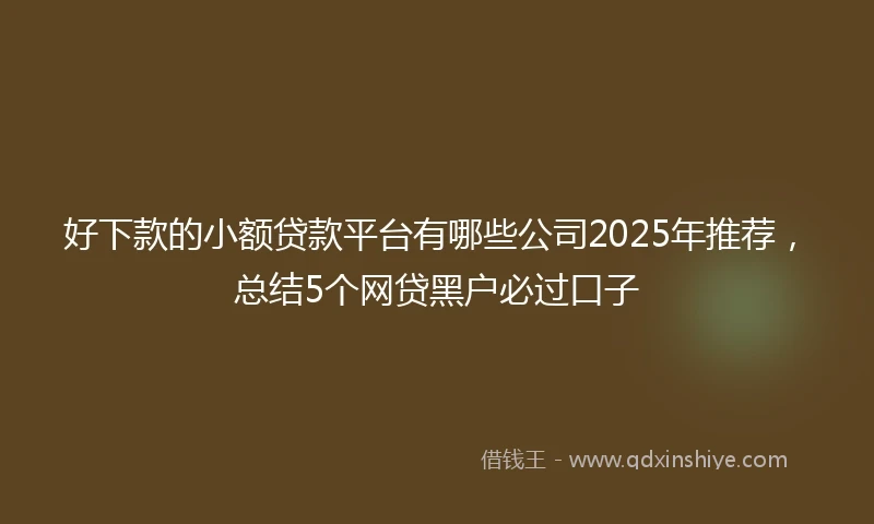 好下款的小额贷款平台有哪些公司2025年推荐，总结5个网贷黑户必过口子