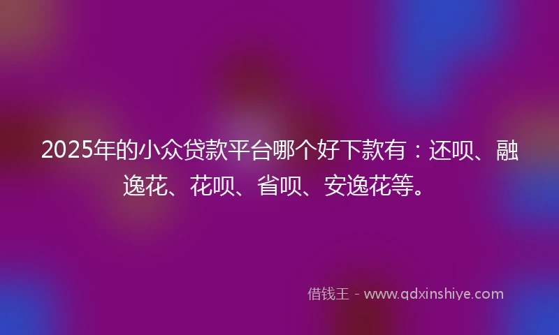 2025年的小众贷款平台哪个好下款有：还呗、融逸花、花呗、省呗、安逸花等。