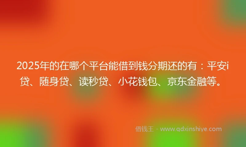 2025年的在哪个平台能借到钱分期还的有：平安i贷、随身贷、读秒贷、小花钱包、京东金融等。