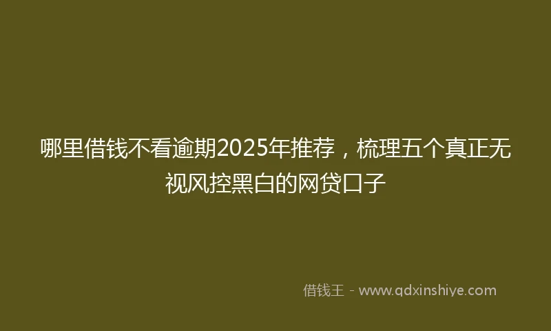 哪里借钱不看逾期2025年推荐，梳理五个真正无视风控黑白的网贷口子