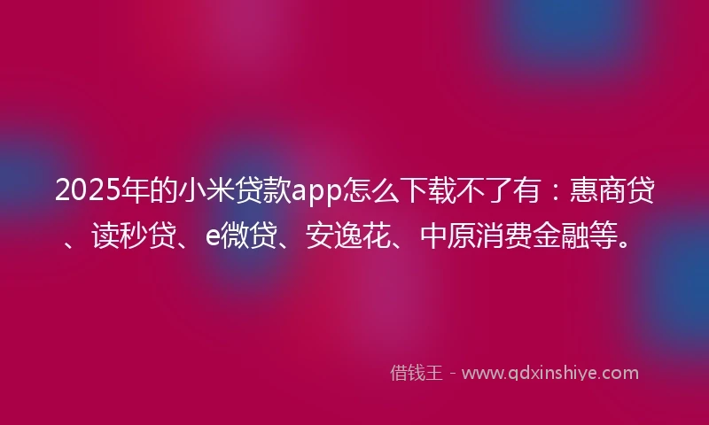 2025年的小米贷款app怎么下载不了有：惠商贷、读秒贷、e微贷、安逸花、中原消费金融等。