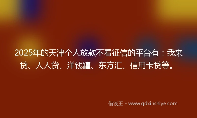 2025年的天津个人放款不看征信的平台有：我来贷、人人贷、洋钱罐、东方汇、信用卡贷等。