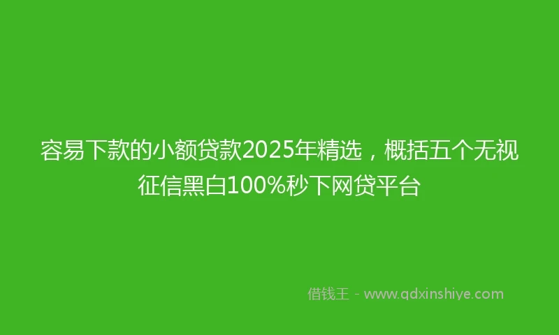 容易下款的小额贷款2025年精选，概括五个无视征信黑白100%秒下网贷平台
