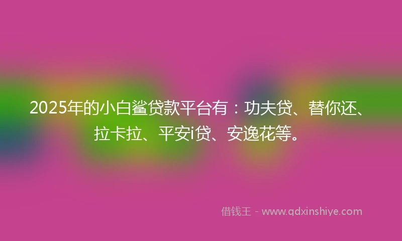 2025年的小白鲨贷款平台有：功夫贷、替你还、拉卡拉、平安i贷、安逸花等。