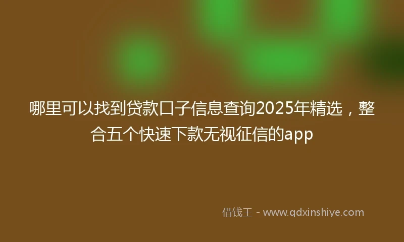 哪里可以找到贷款口子信息查询2025年精选，整合五个快速下款无视征信的app