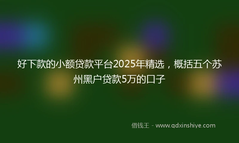 好下款的小额贷款平台2025年精选，概括五个苏州黑户贷款5万的口子