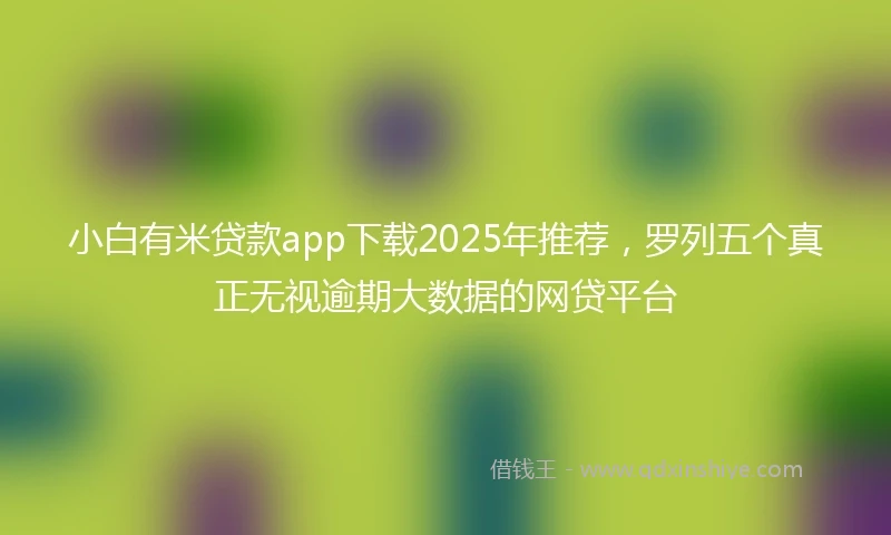 小白有米贷款app下载2025年推荐，罗列五个真正无视逾期大数据的网贷平台